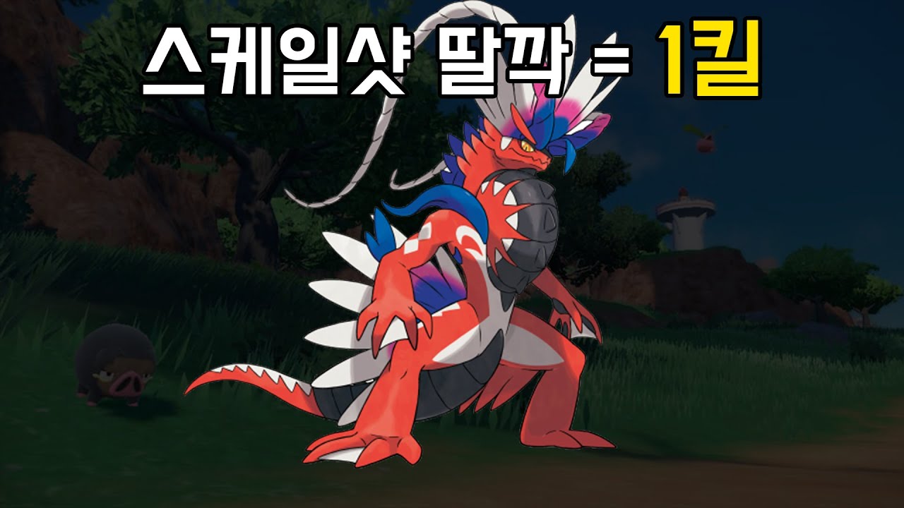 쉽고 강한 포켓몬의 표본 
