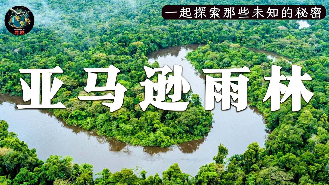 亚马逊雨林中最令人难以置信的自然奇观｜Amazon 4K | 自然纪录片