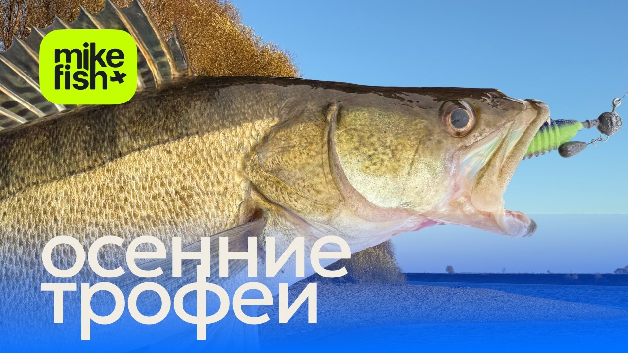 Рекордная щука руками в лодку без подсака. Закрываем сезон.