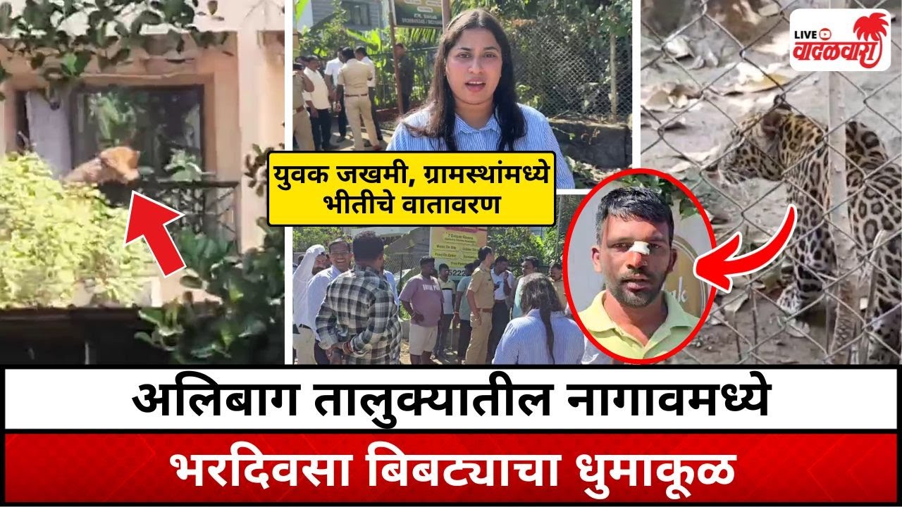 अलिबाग तालुक्यातील नागावमध्ये भरदिवसा बिबट्याचा धुमाकूळ | Vadalwara Live