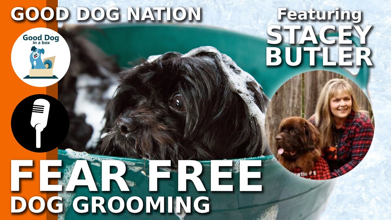 [GROOMING]: Fear Free Dog Grooming w/ Stacey Butler | Good Dog Nation Ep #3 (2019)