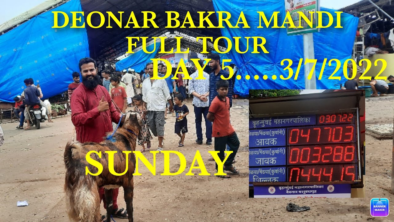 DAY 5.... 3/7/2022....DEONAR BAKRA MANDI FULL TOUR ... LIVE SAUDA.... LOGO KI RAI