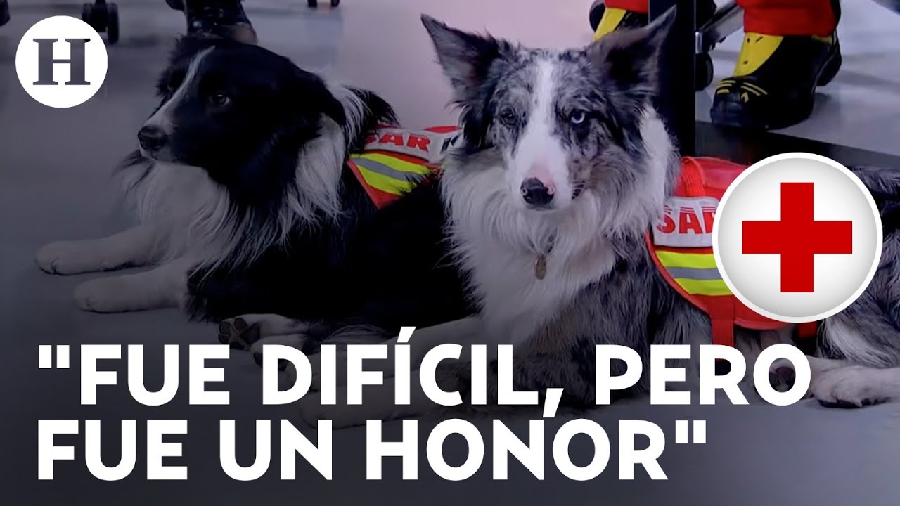 Orly y Balam: El camino de los perros rescatistas en Turquía, así fue su experiencia