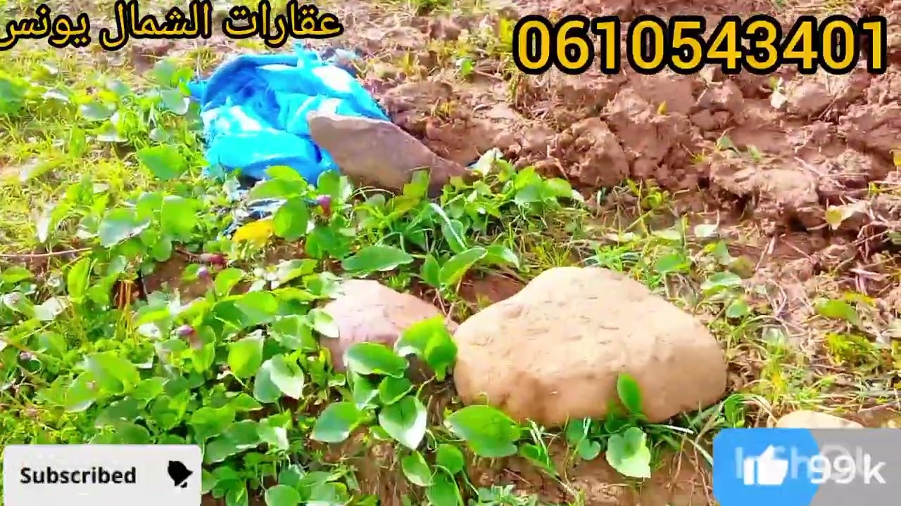 بقعة أرضية ف قلب الطبيعة مساحتها حوالي 800 متر على الطريق تمن مناسب 💥 نواحي تطوان طريق الخميس انجرة 