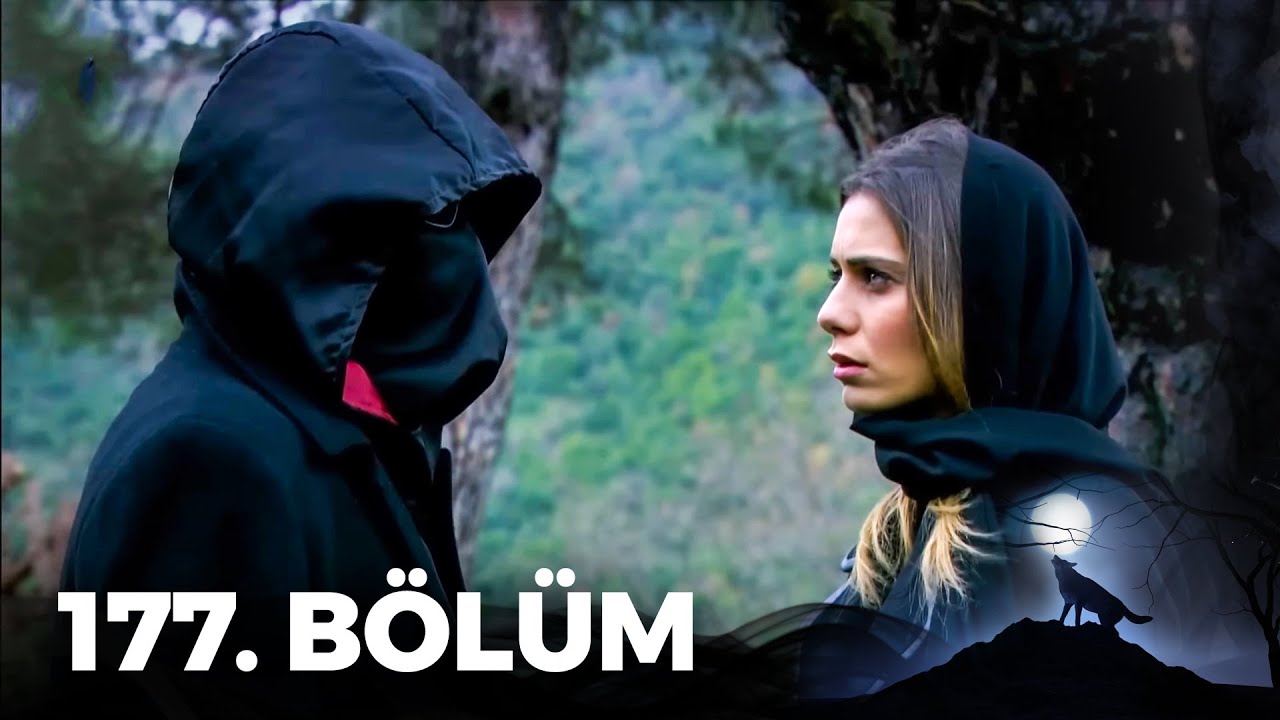 Kurtlar Vadisi Pusu - 177. B&ouml;l&uuml;m FULL HD