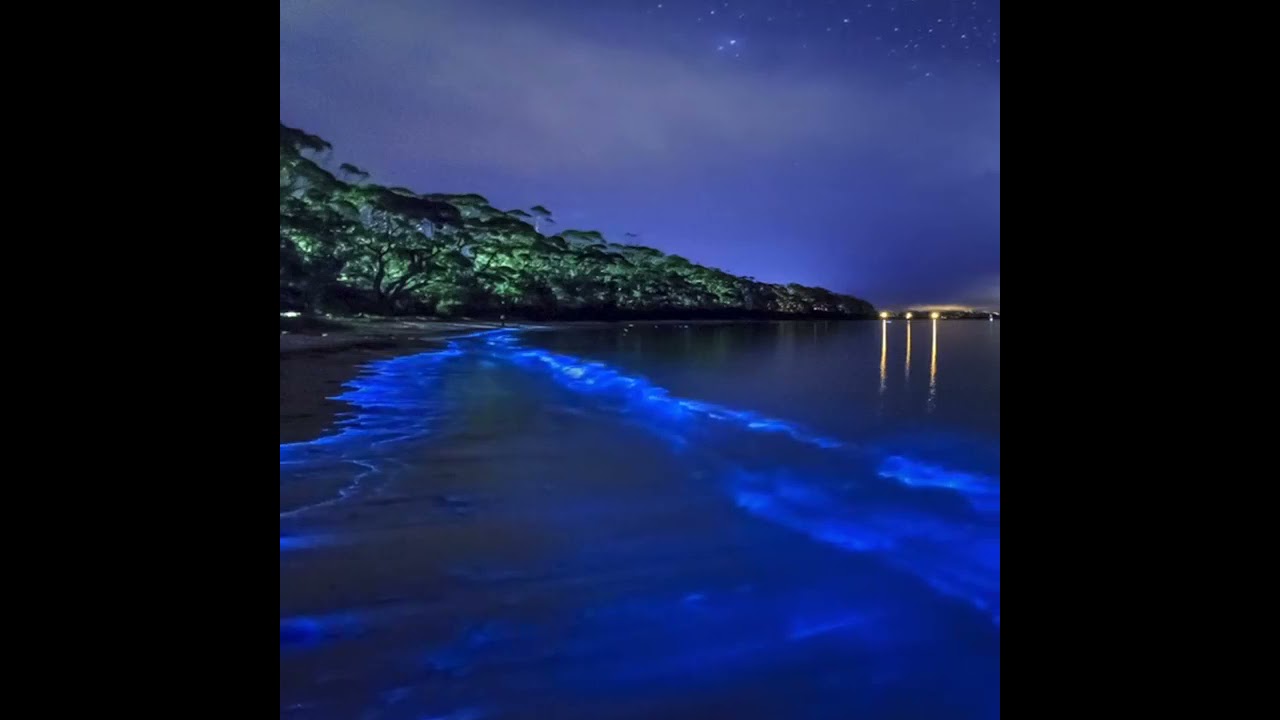 Mosquito Bay