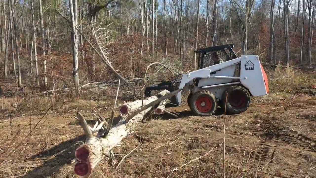 Cutting trees down for Barndo driveway with old bobcat episode 15