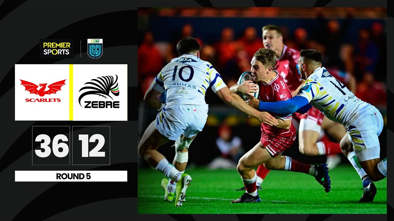 Scarlets vs Zebre Parma - Highlights from URC