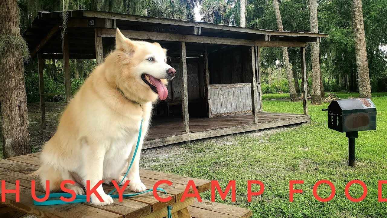 Camping Food- For Dogs