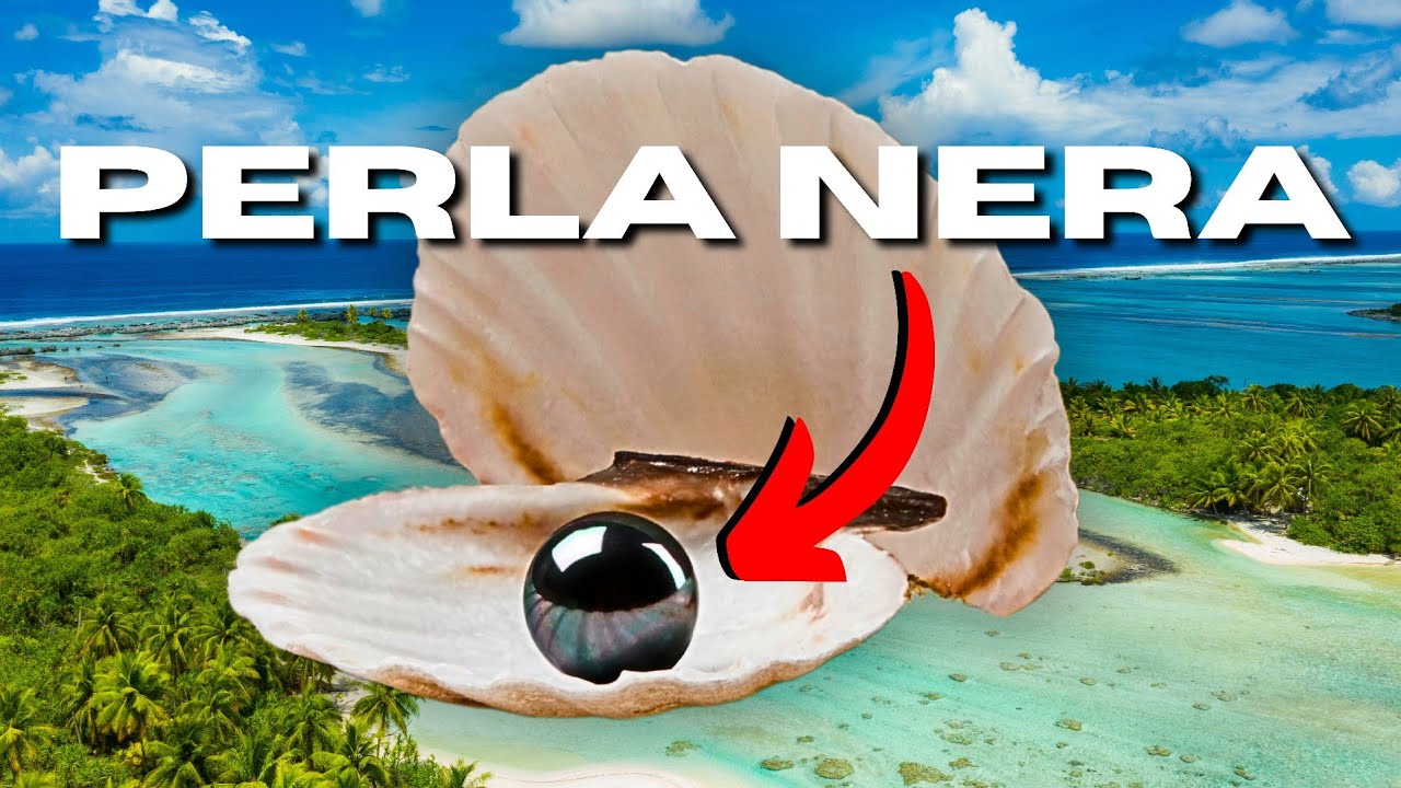 PERLA NERA, la Perla di Tahiti | Lineagem / Gemme / Pietre Preziose