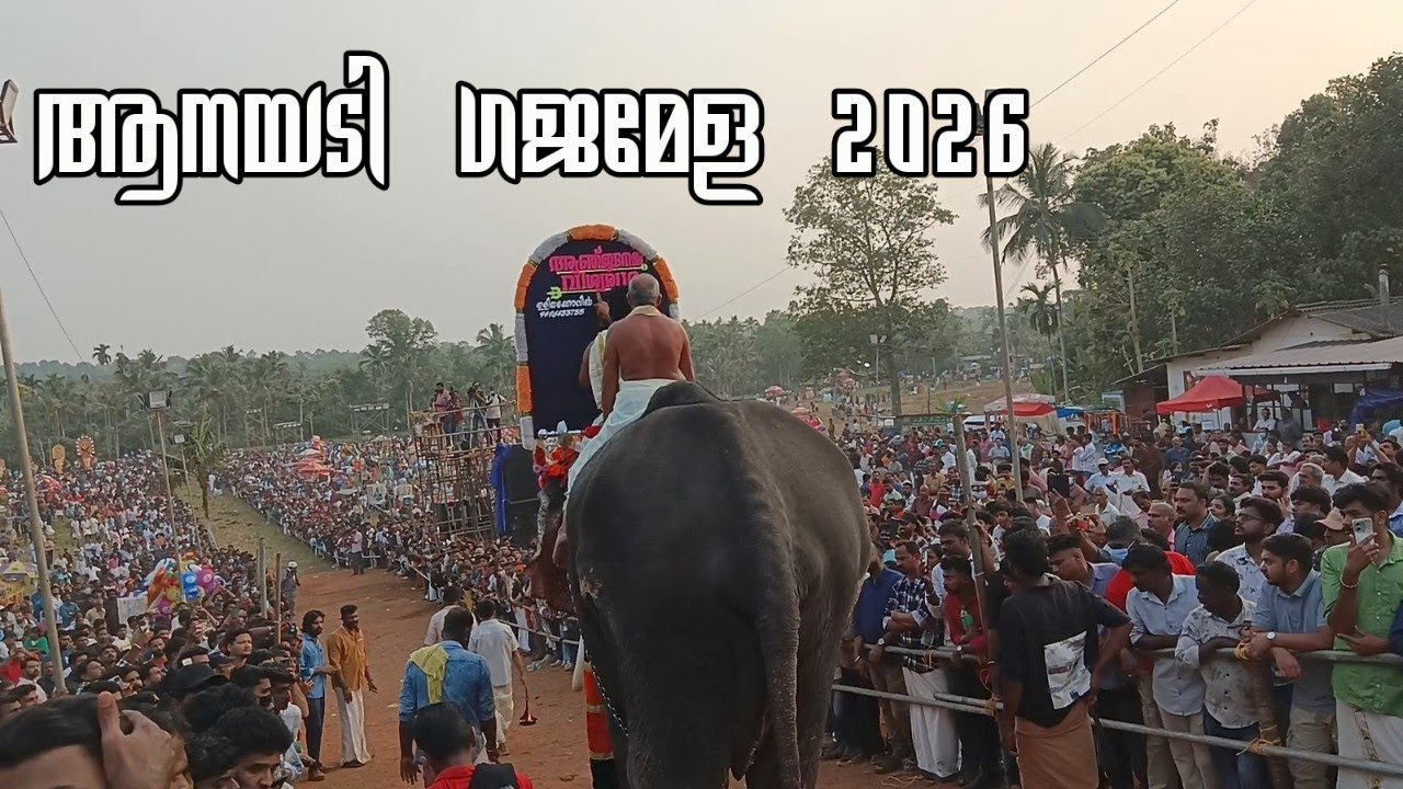ആനയടി ഗജമേള 2026 l Anayadi Pooram 2026