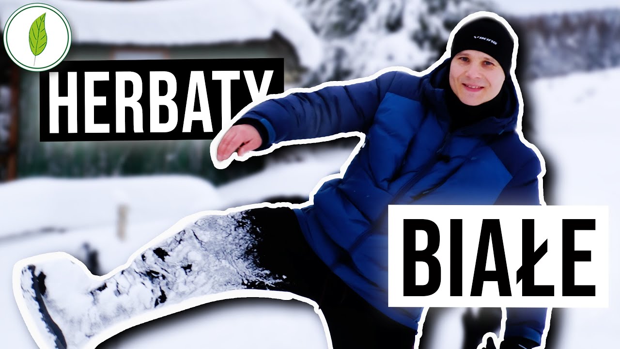 Biała herbata - jaką wybrać na początek?