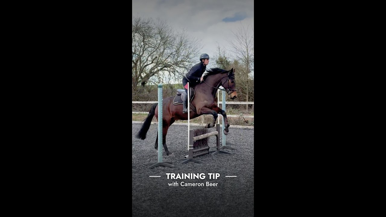 Teaching a Young Horse How To Jump a Skinny with Cameron Beer | Training Tip Tuesday