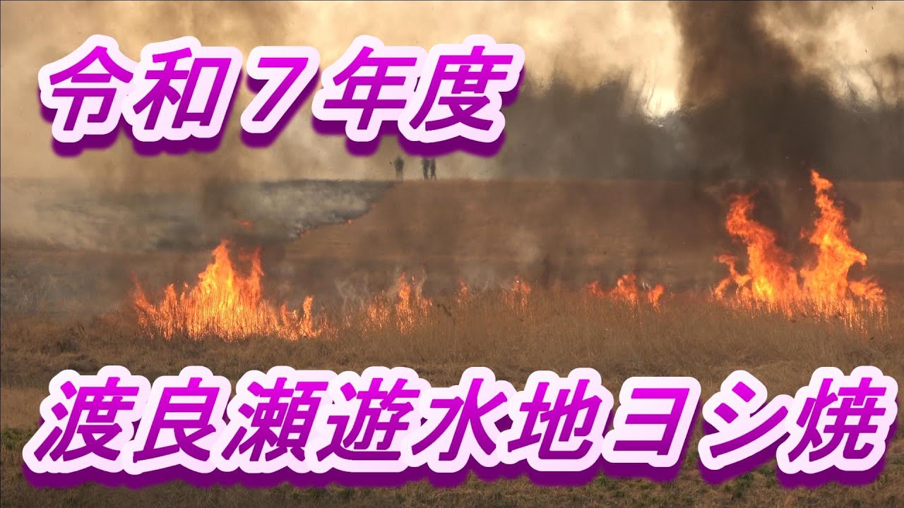 2025年度　渡良瀬遊水地ヨシ焼