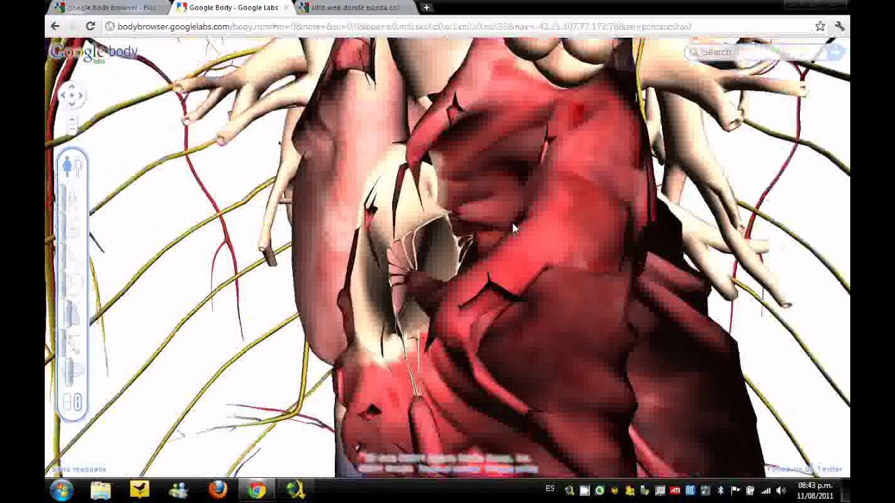 video google body browser
