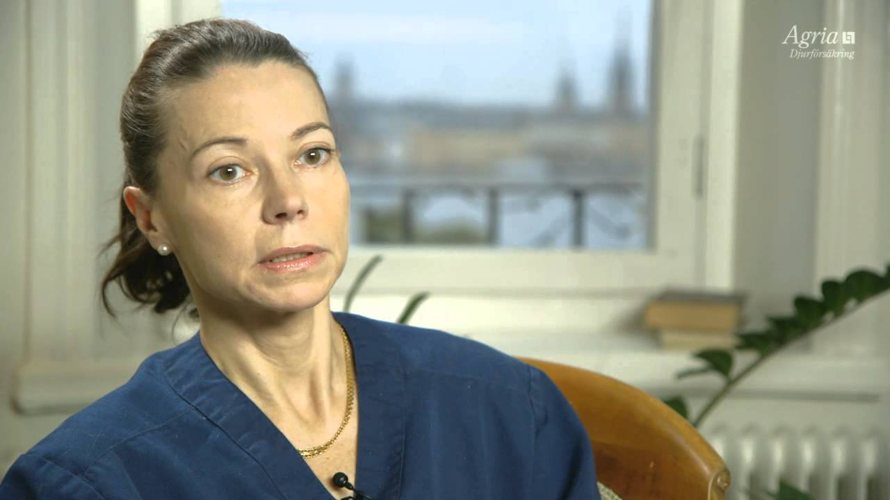 Vaccinera, id-märk och kastrera