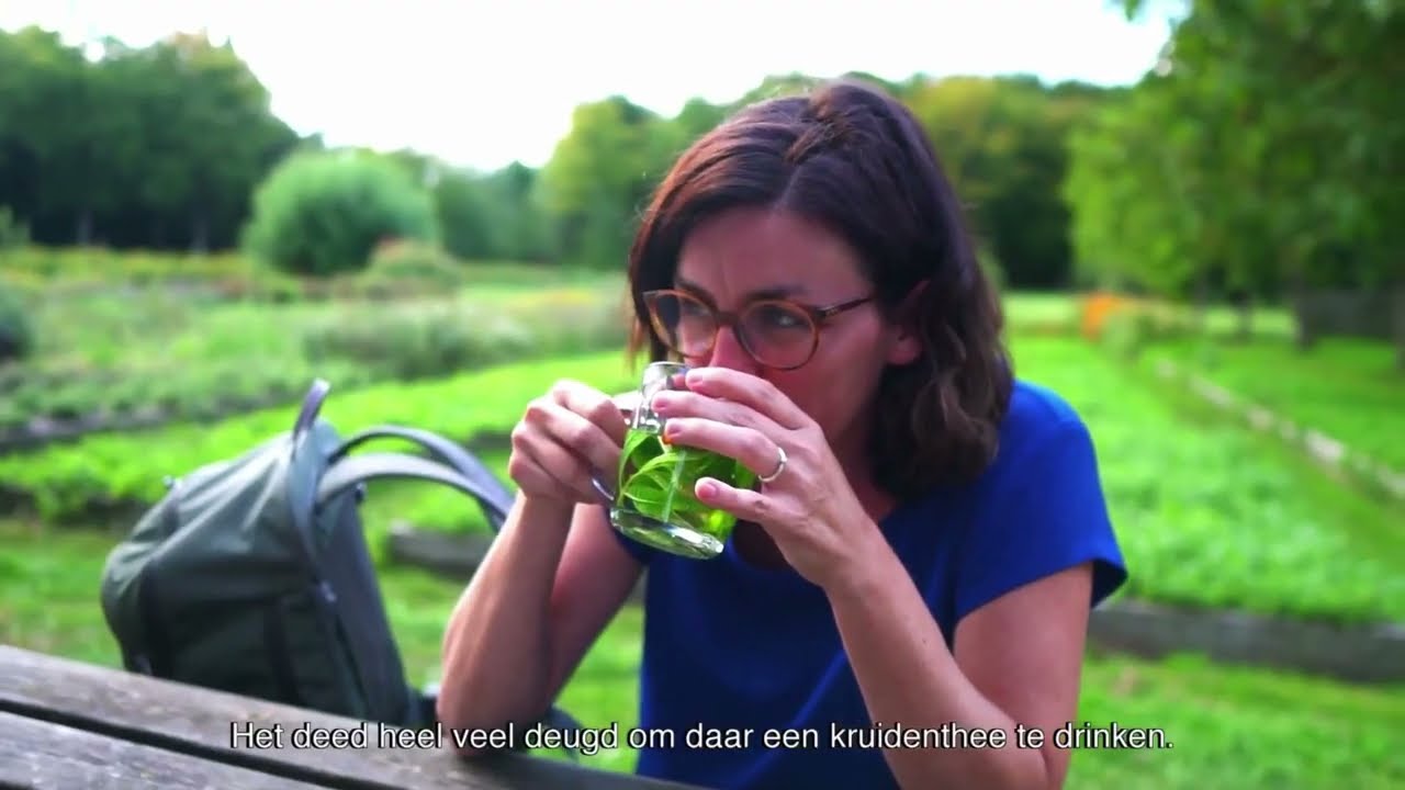 Bosbaden in het Landschapspark Bulskampveld