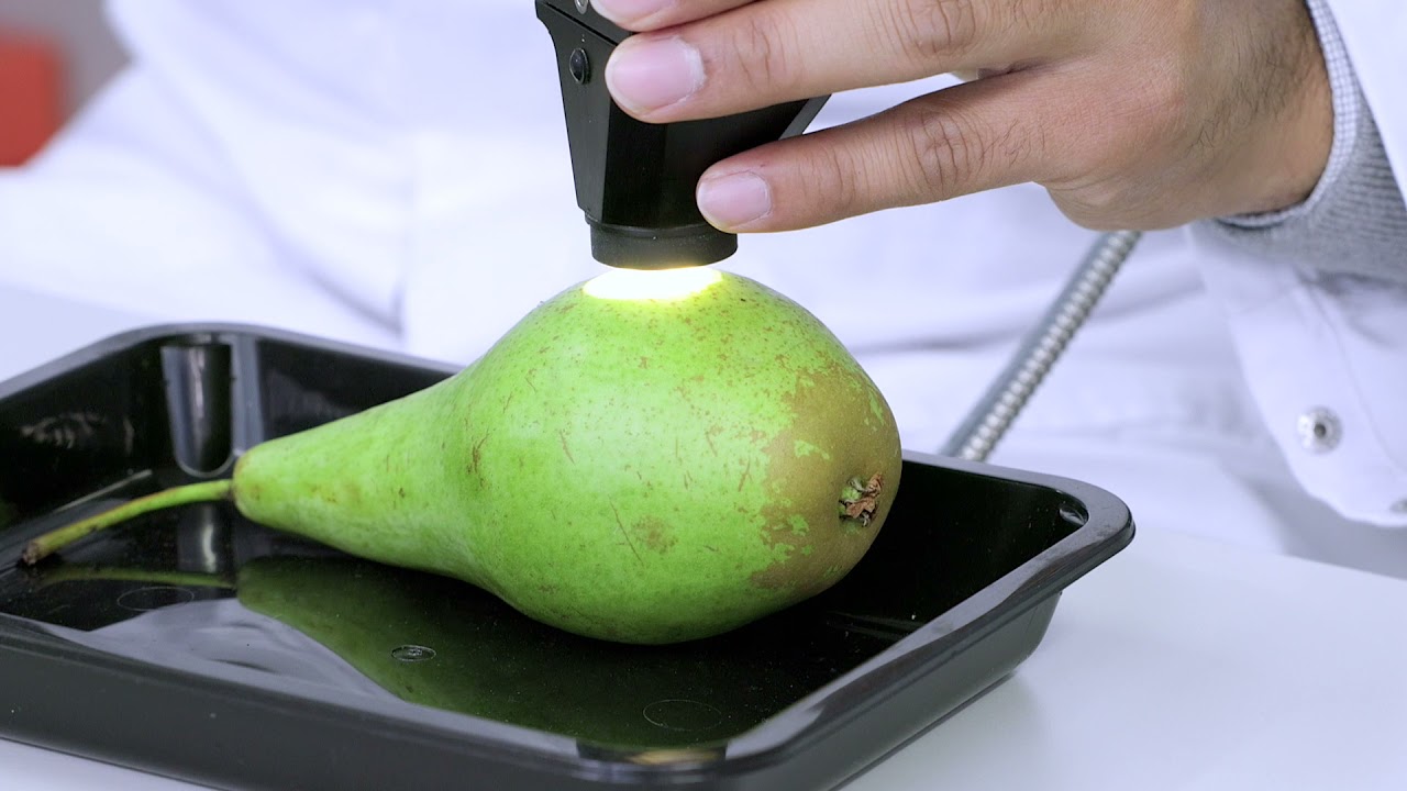 Visible and near-infrared spectroscopy - Wageningen University & Research