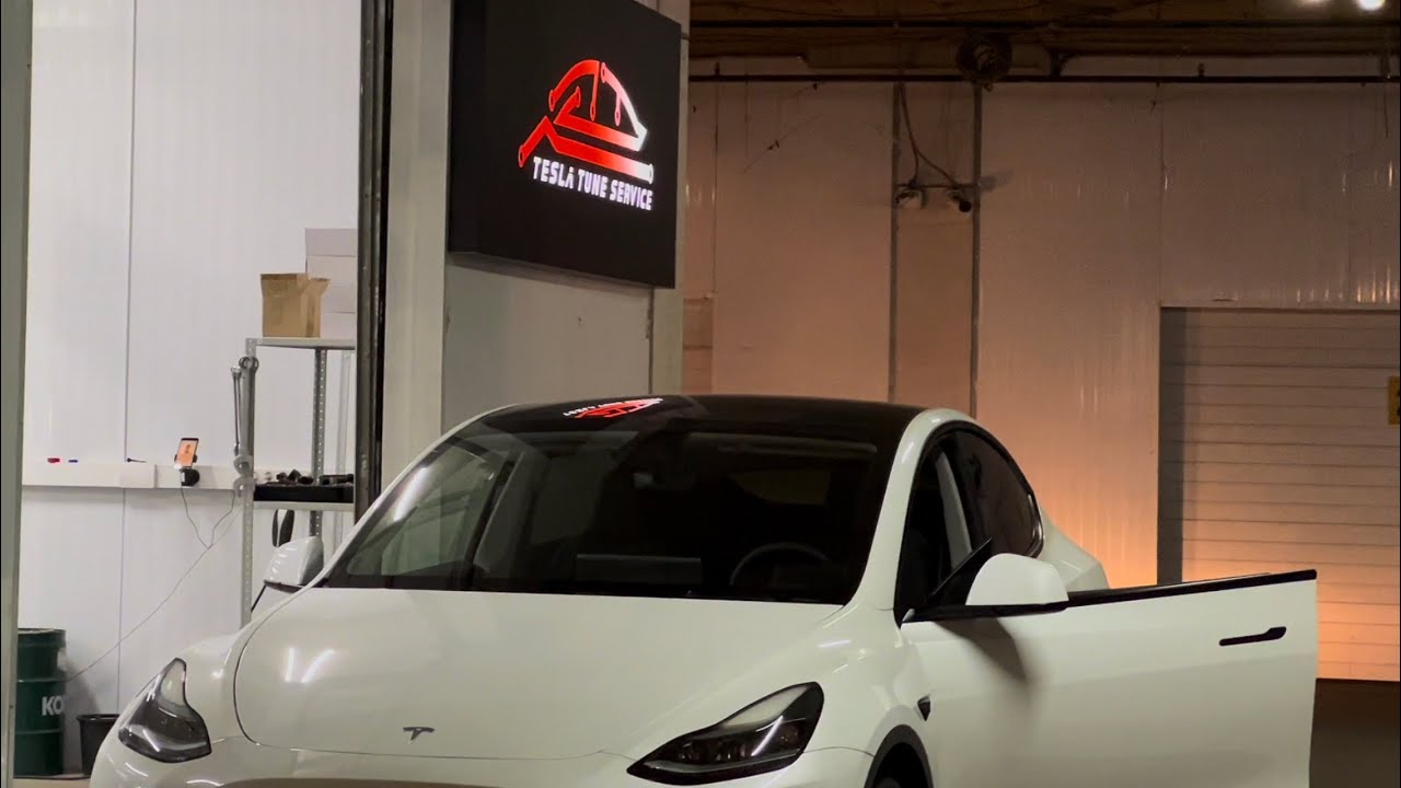 Базовый ТЮНИНГ TESLA! Доводчики, подсветка, выезжающие ручки