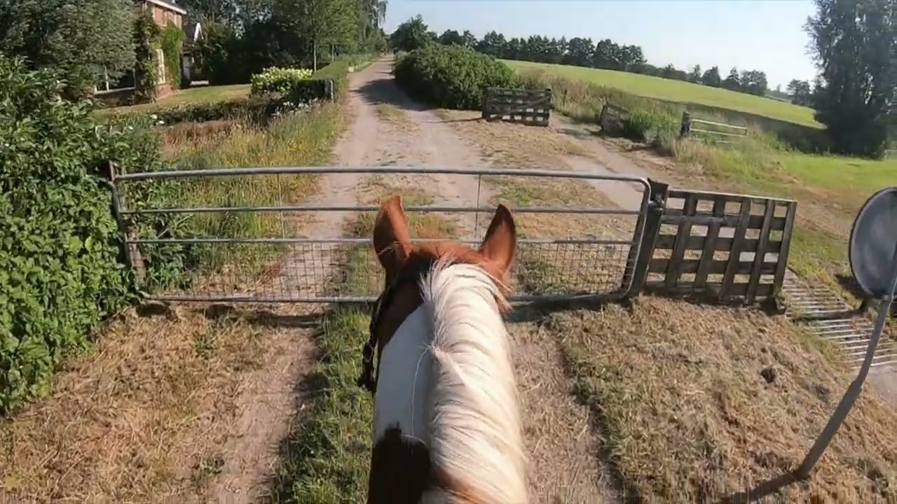 Buitenrit langs Eastermar