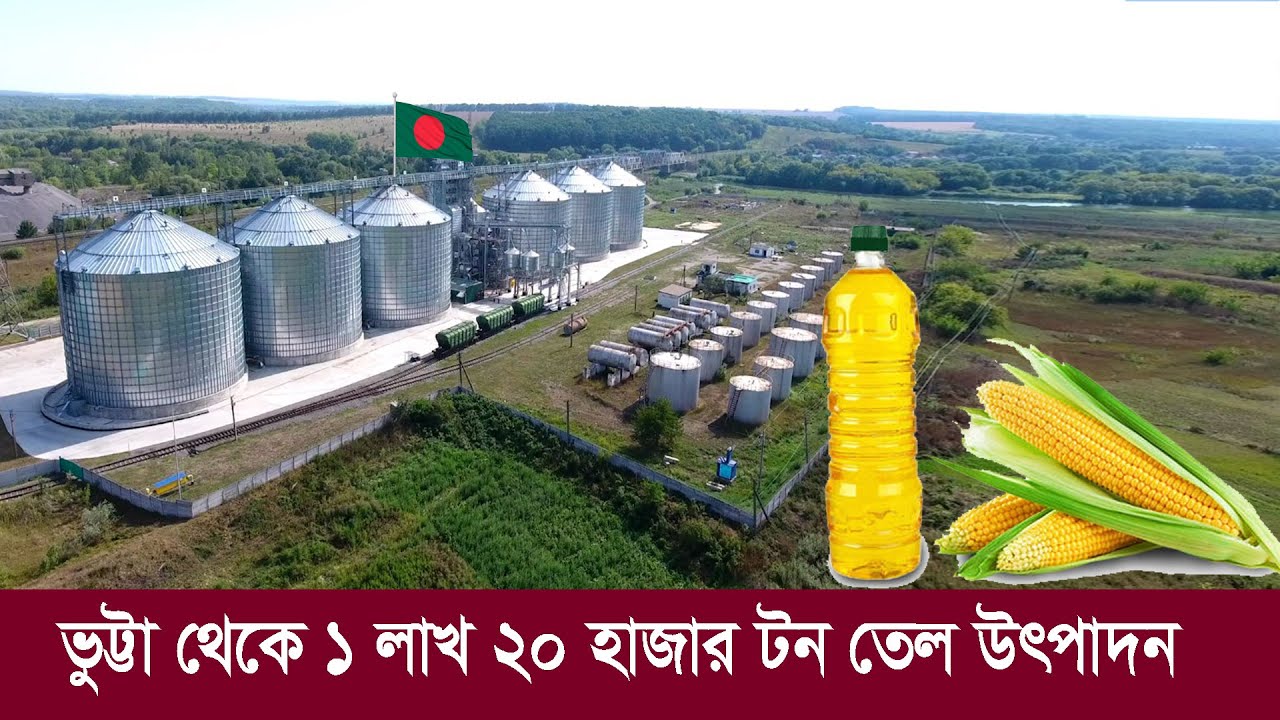 ভুট্টা থেকে তেল উৎপাদনে বিশাল কর্মযজ্ঞ !! হাজার কোটি টাকার হাতছানি Corn oil production in Bangladesh