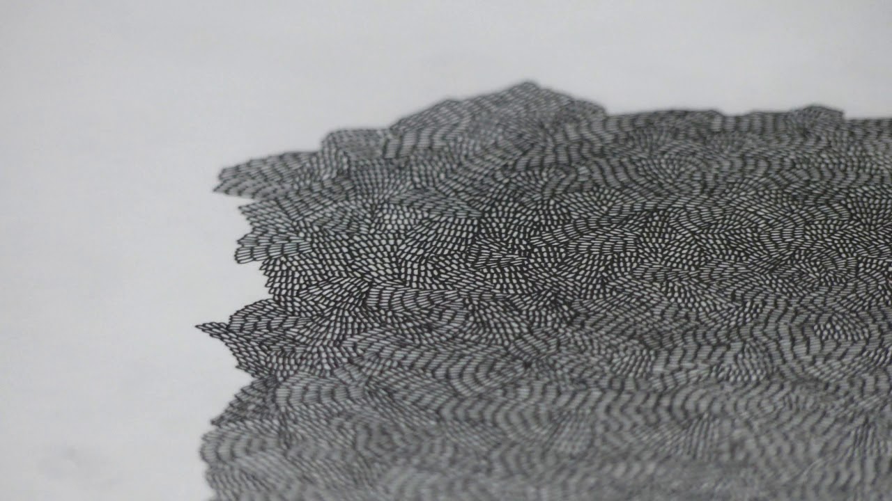 Sachiko Abe - The Large Drawing