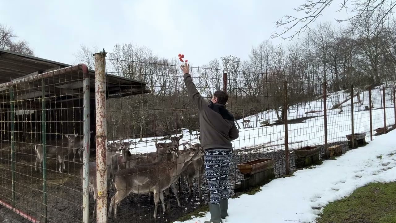 Selamlar yağmurlu bir Almanya gününden