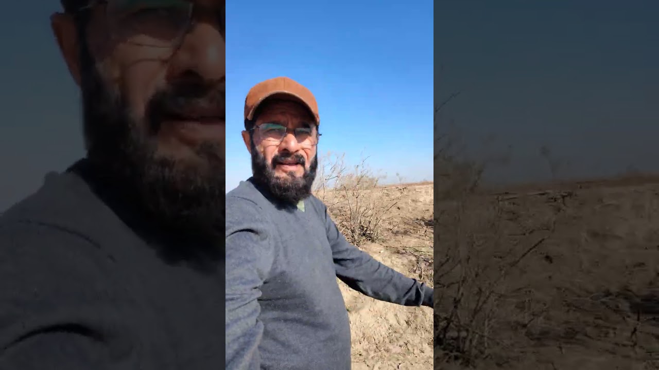 ١٧ شباط، ٢٠٢٦