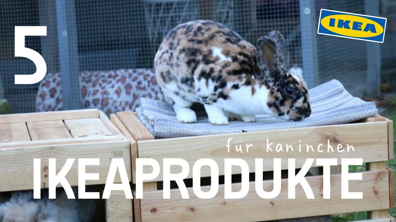 5 geniale IKEAPRODUKTE für Kaninchen Teil 3 | Kaninchenstar