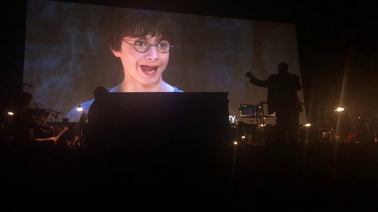 Harry Potter and The Sorcerers Stone Orchestra Performance