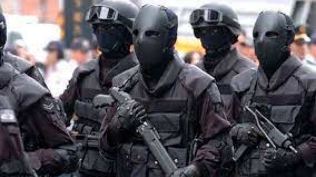 You Cant Beat Spain's Special Naval Warfare Force | Why Spain Special Naval Warfare Force Are Super