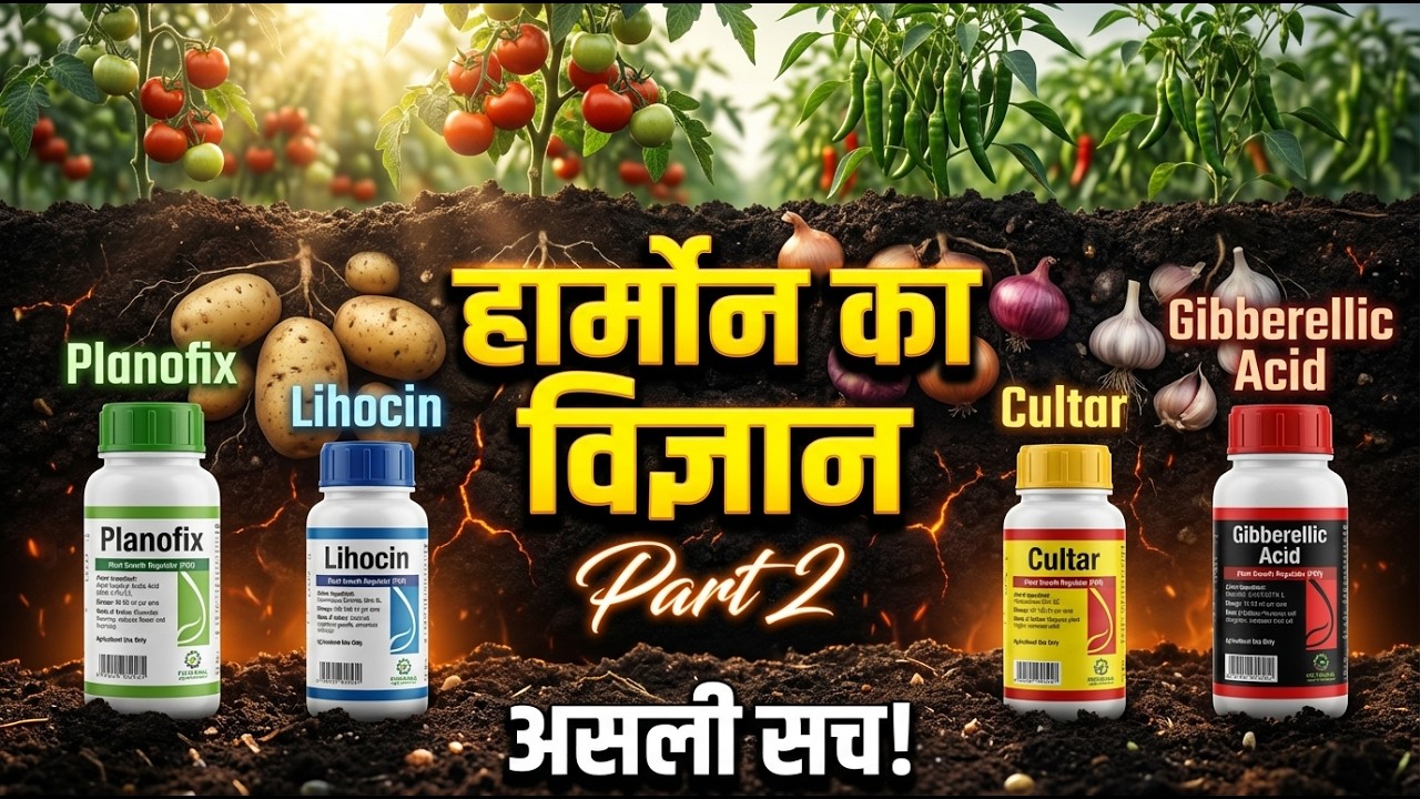 Planofix, Lihocin और Cultar का पूरा सच! हार्मोन का विज्ञान समझें आसान भाषा में | Gibberellic Acid