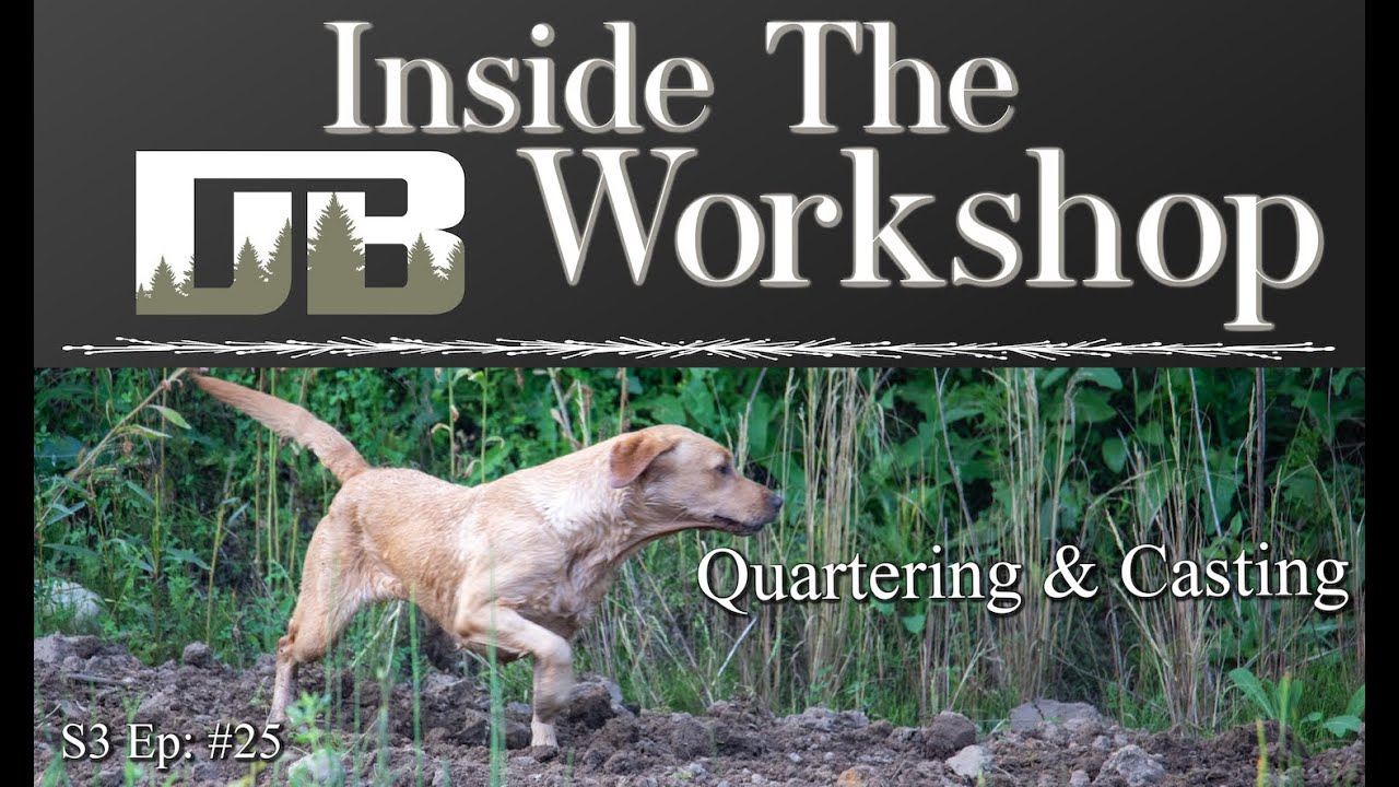 Teach Dog to Quarter and Cast | S3 Ep: #25