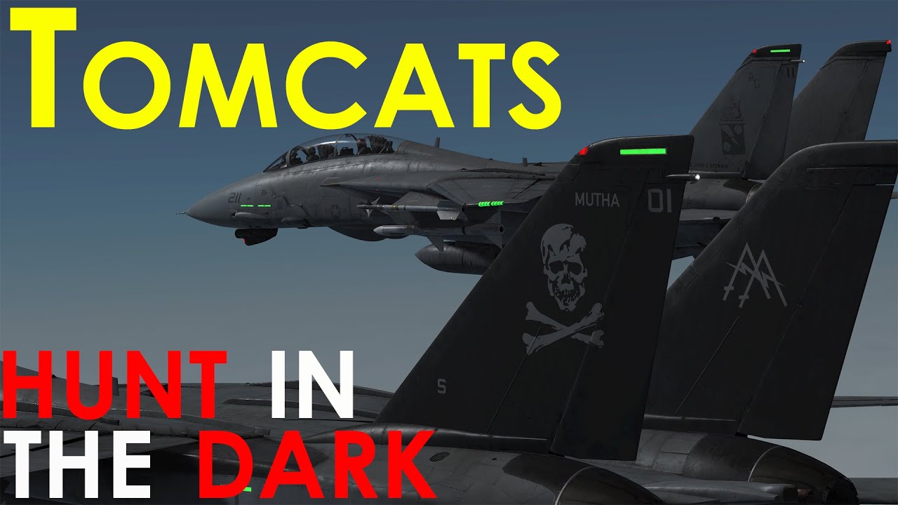 The Perfect Storm | F-14 Tomcat Night Strike in DCS World