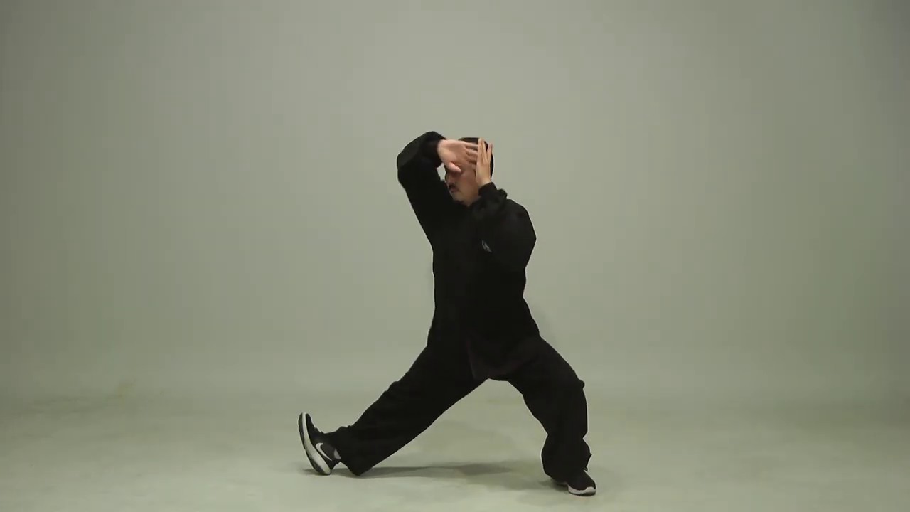 Zhaobao Taichi 43 Form
