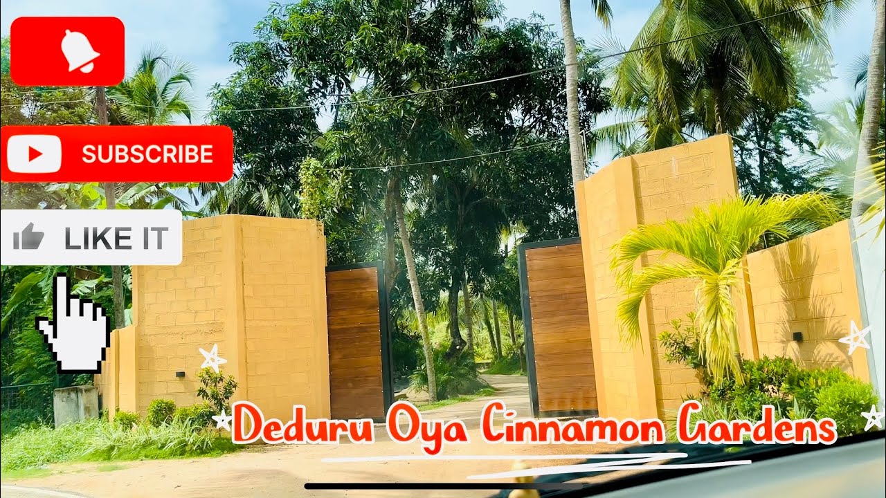 Deduru Oya Cinnamon Gardens ( Kurunegala) #hotelreview #hotel #travel  #pool #cabaña #kurunagala