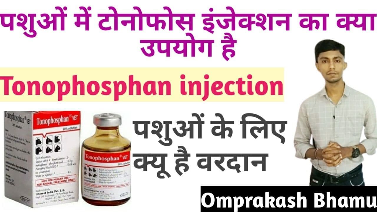Tonophosphan (टोनोफोस) injection पशुओं के लिए वरदान क्यों है/ पशुओं के किन- किन रोगों में काम आता है