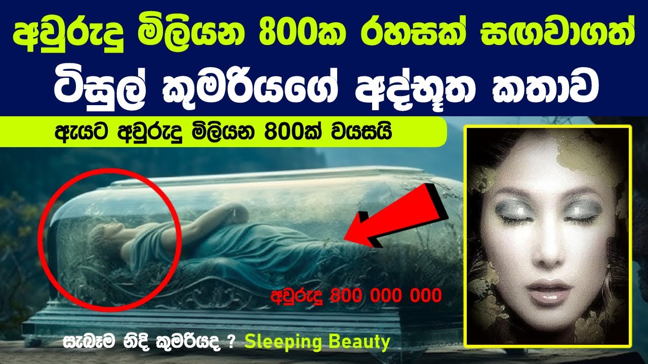 අවුරුදු මිලියන 800 ක රහසක් සඟවාගත් ටිසුල් කුමරියගේ අද්භූත කතාව | The Tisul princess and her mystery