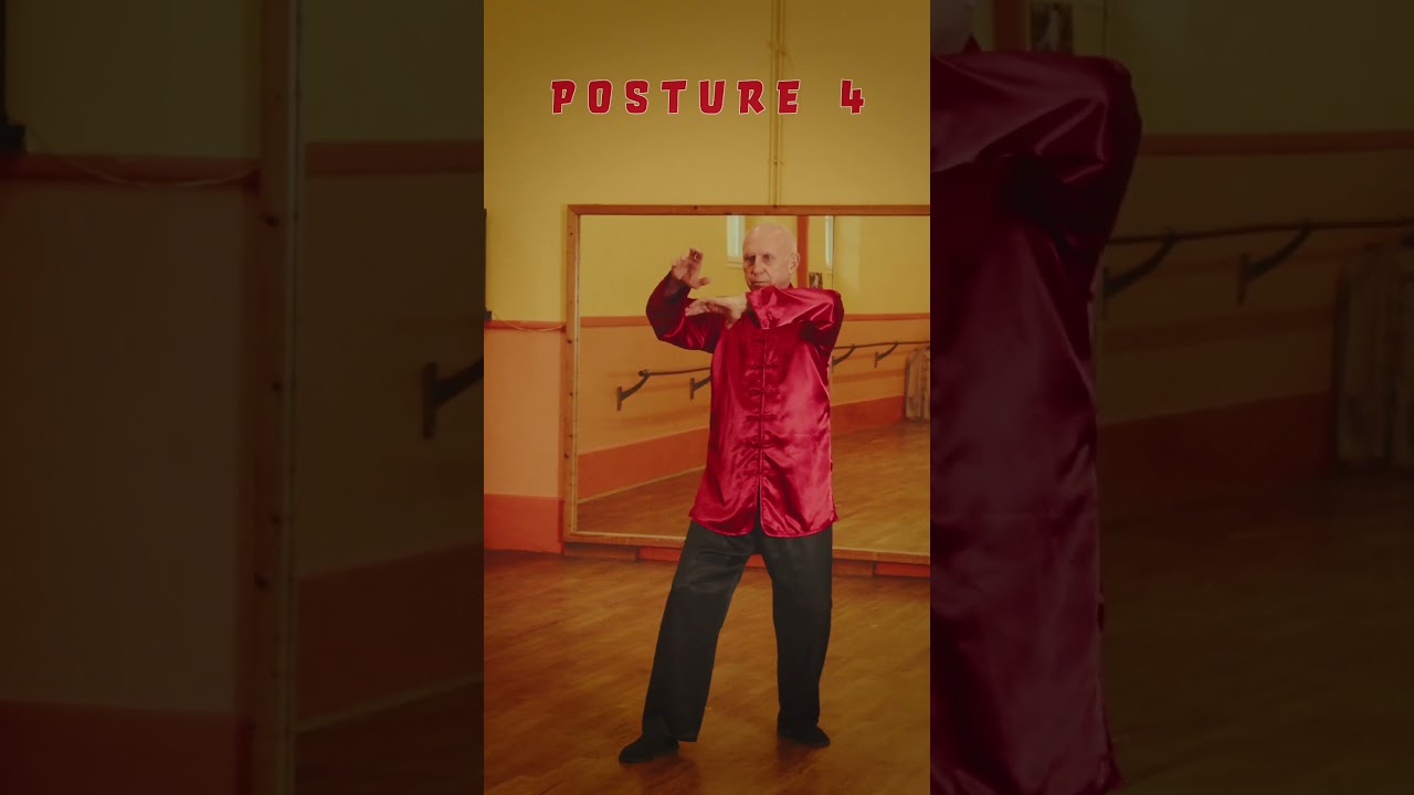 La forme du Ciel, 4&egrave; posture #nature #martialarts #taichichuan