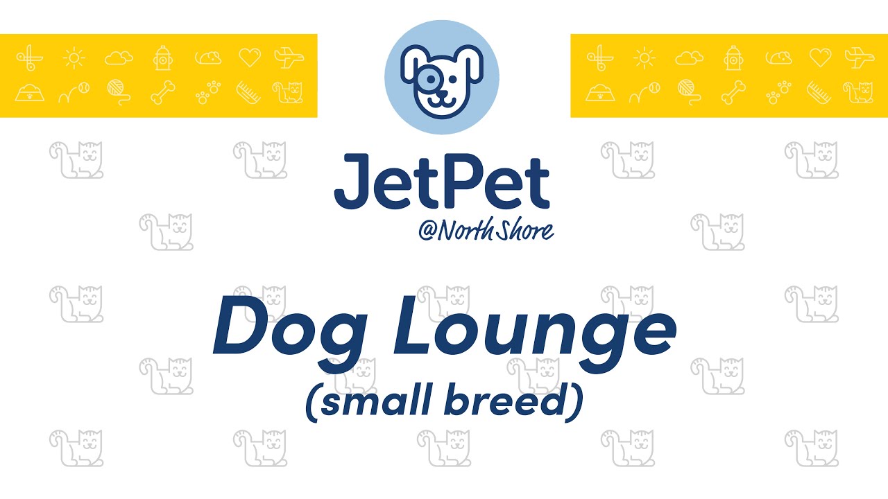 NS: Dog Lounge - January 29, 2026