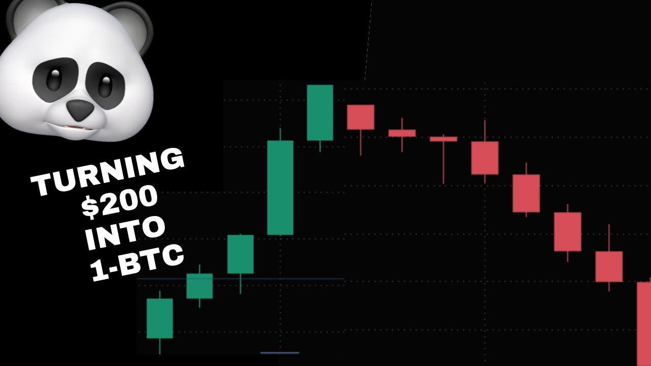 CAN I TURN $200 in 1 Bitcoin?