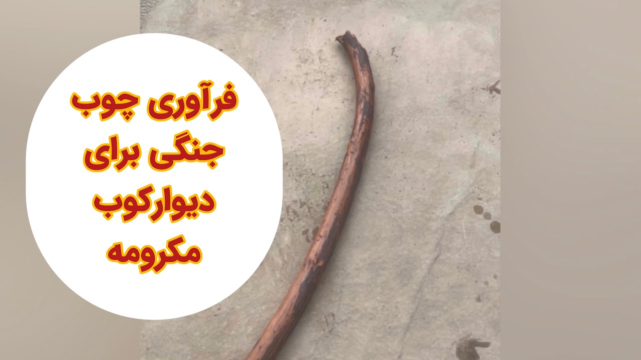 Processing of woods for decoration | فراوری چوب های جنگلی برای دیوارکوب مکرومه