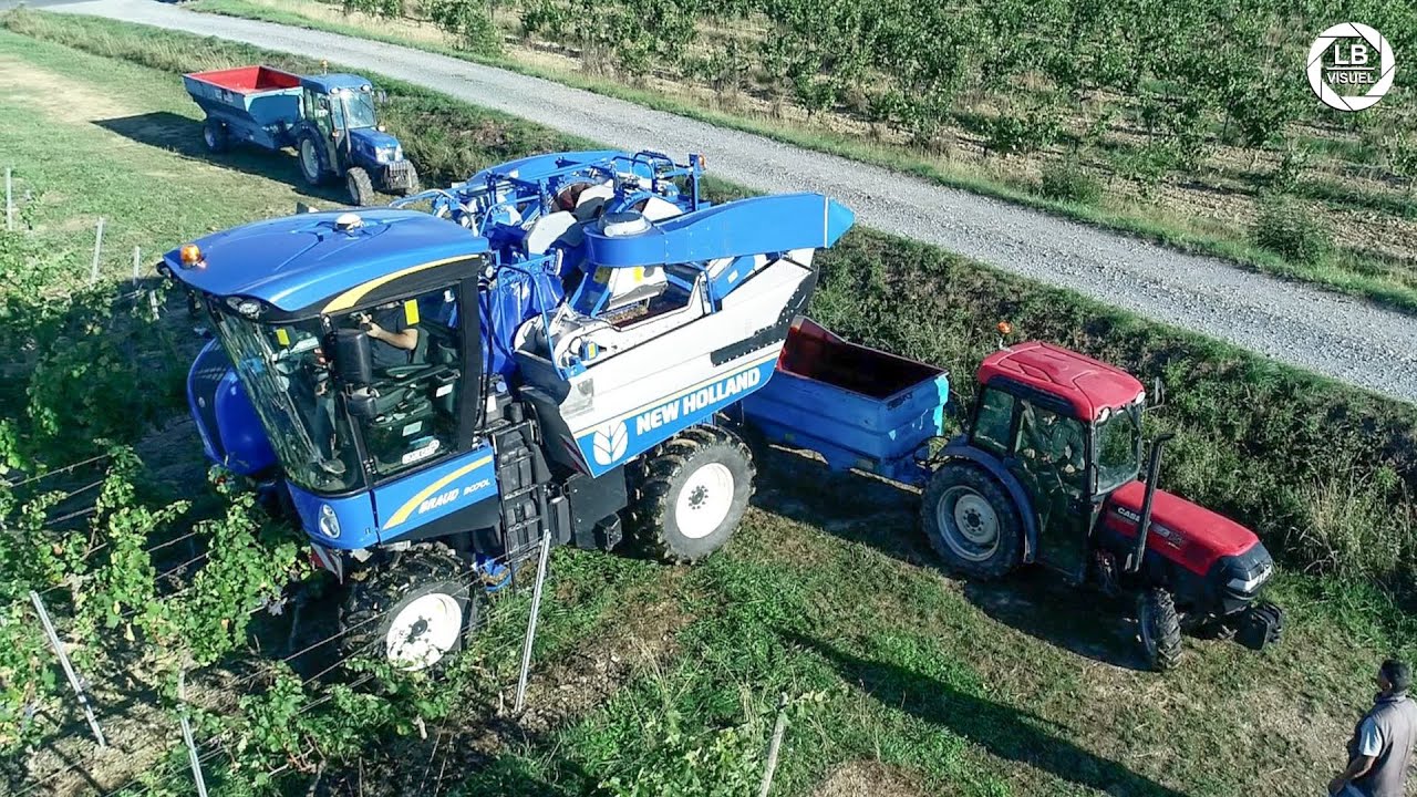 🍇 Vendanges de cabernet franc avec une Braud 9070L 🍇
