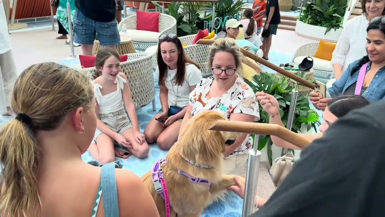 Meet the Chief Dog Officer SAILOR on Star of the Seas