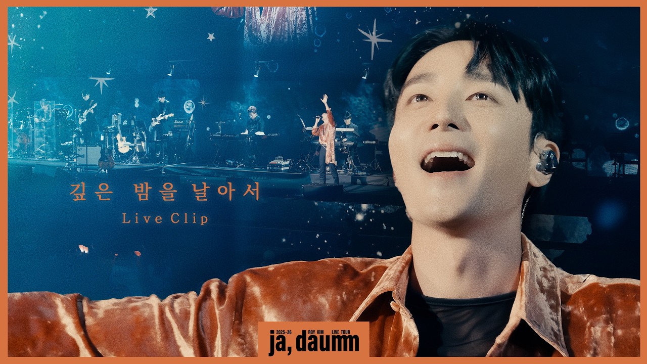 로이킴 (Roy Kim) - 깊은 밤을 날아서 Live Clip @ 2025-26 로이킴 LIVE TOUR [ja, daumm]