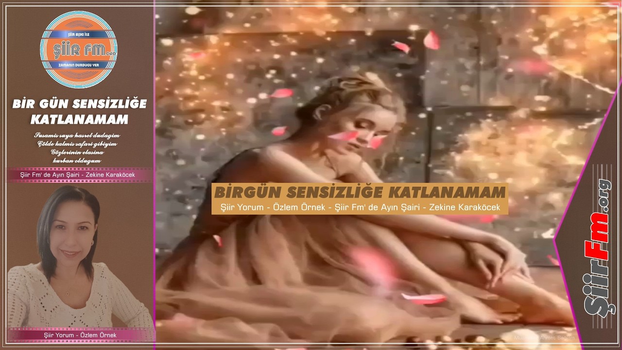 Bir gün sensizliğe katlanamam | Yorum - Özlem Örnek | Şiir Fm' de Ayın Şairi - Zekine Karaköcek