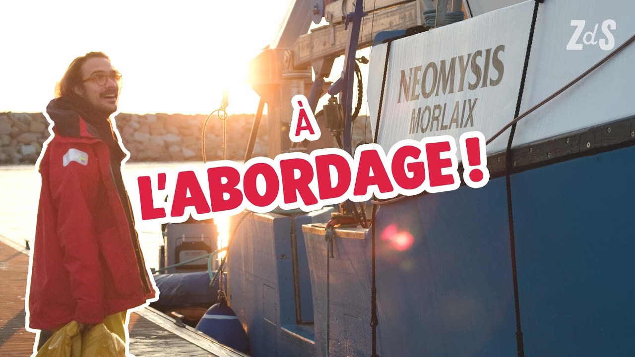Roscoff : les vigies du monde marin 🌊 Va Savoir #10