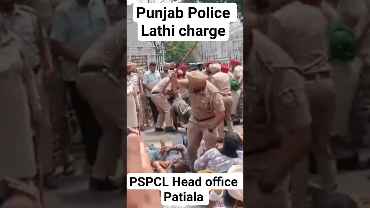 PSPCL Head office Patiala #PSPCL #ALM #UPDATE
