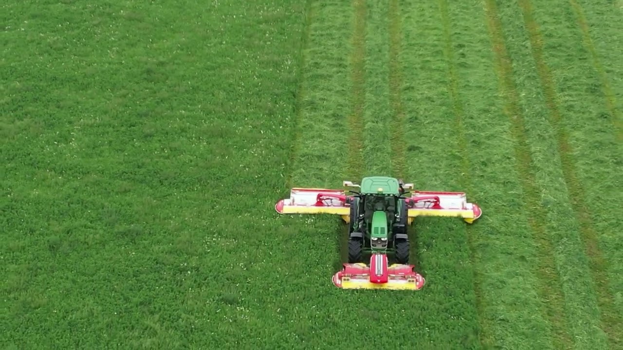 First cut of 2022