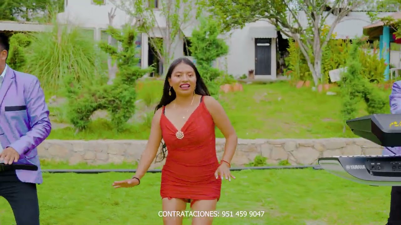 LA VIVORA DE LA MAR - ORGANO JUVENTUD MIXTECO (VIDEO OFICIAL)